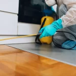 The Importance of Professional Pest Control Services