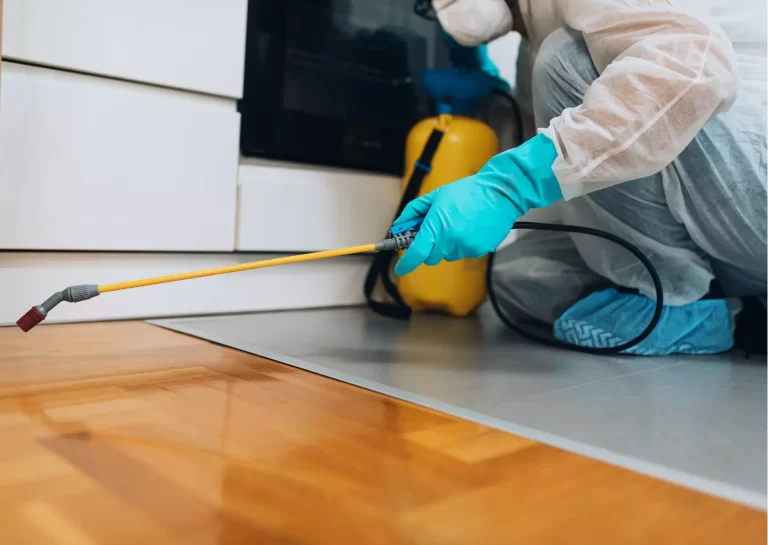 The Importance of Professional Pest Control Services