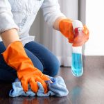 house cleaning schedule