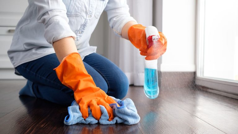 house cleaning schedule