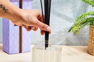 diffuser and reeds