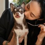 Boost Your Pet's Health with Authority Pet Food: A Nutritional Powerhouse