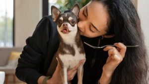 Boost Your Pet's Health with Authority Pet Food: A Nutritional Powerhouse