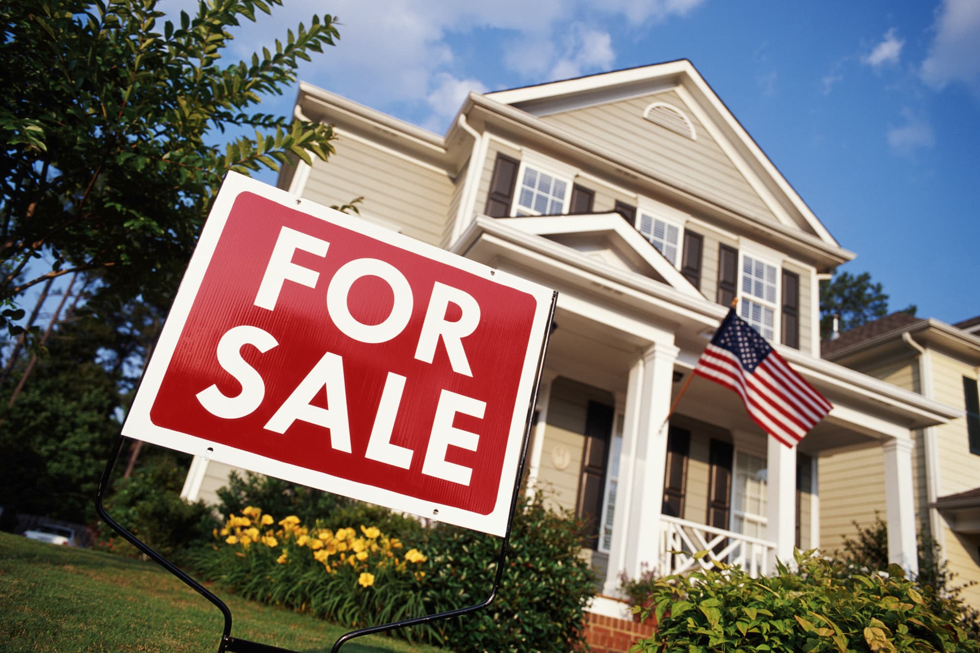Fast Foreclosure Remedies: Intelligent Selling Strategies for Overworked Sellers